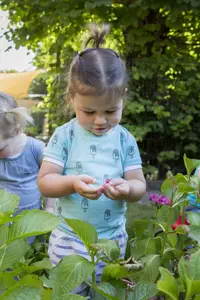 Werken Bij Compananny Kinderopvang Oegstgeest Tuin Locaties