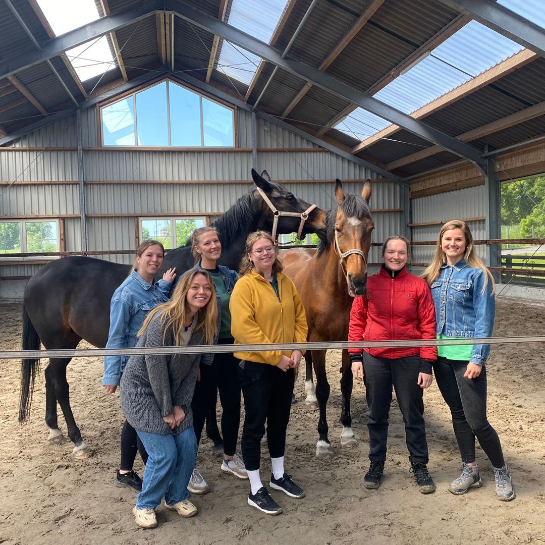 Paardencoaching training Young Talent Program CompaNanny